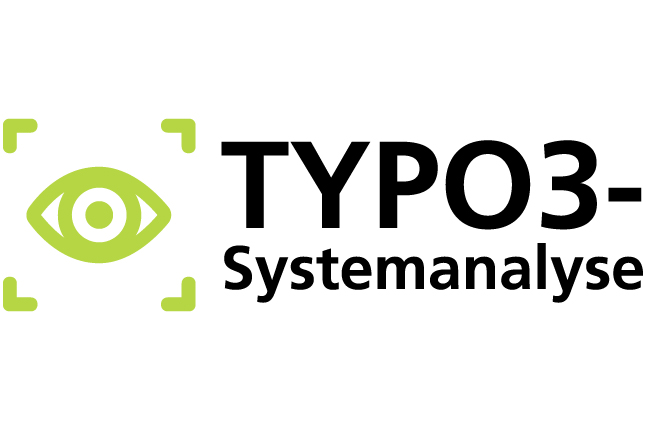Logo: TYPO3-Systemanalyse